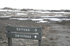 This Way to Foss